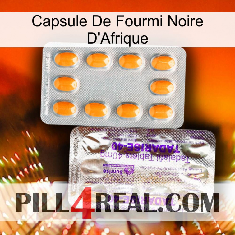 Africa Black Ant Capsule new12